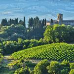 Montalcino