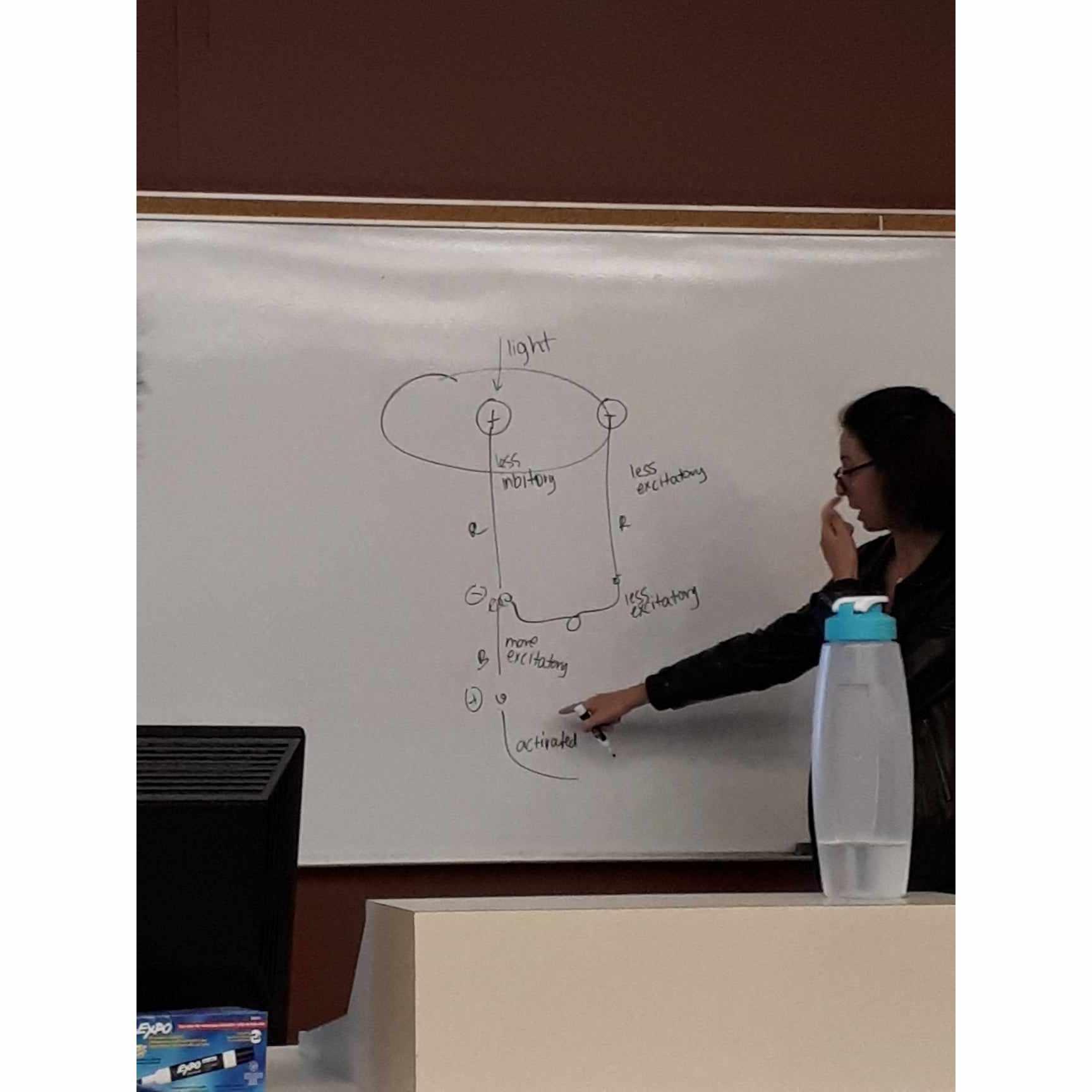 Daniel first saw Jodi (not pictured) in this tutorial on September 11, 2018