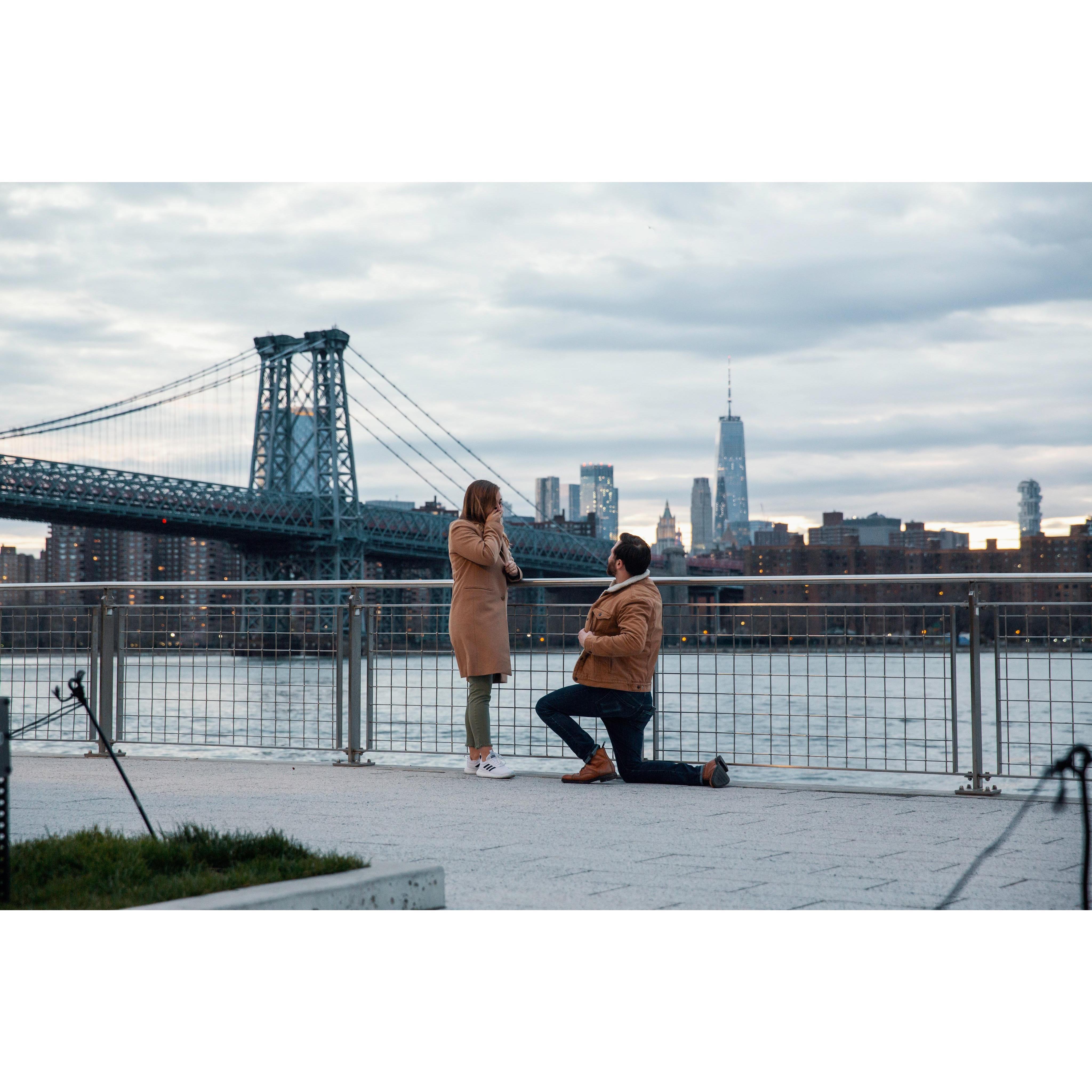 the proposal / April 4, 2020