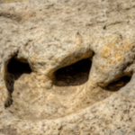 Dinosaur Valley State Park