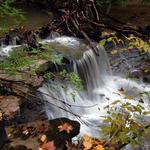 Cincinnati Nature Center