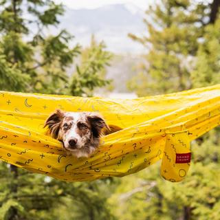 Trunk Tech Double Printed Hammock