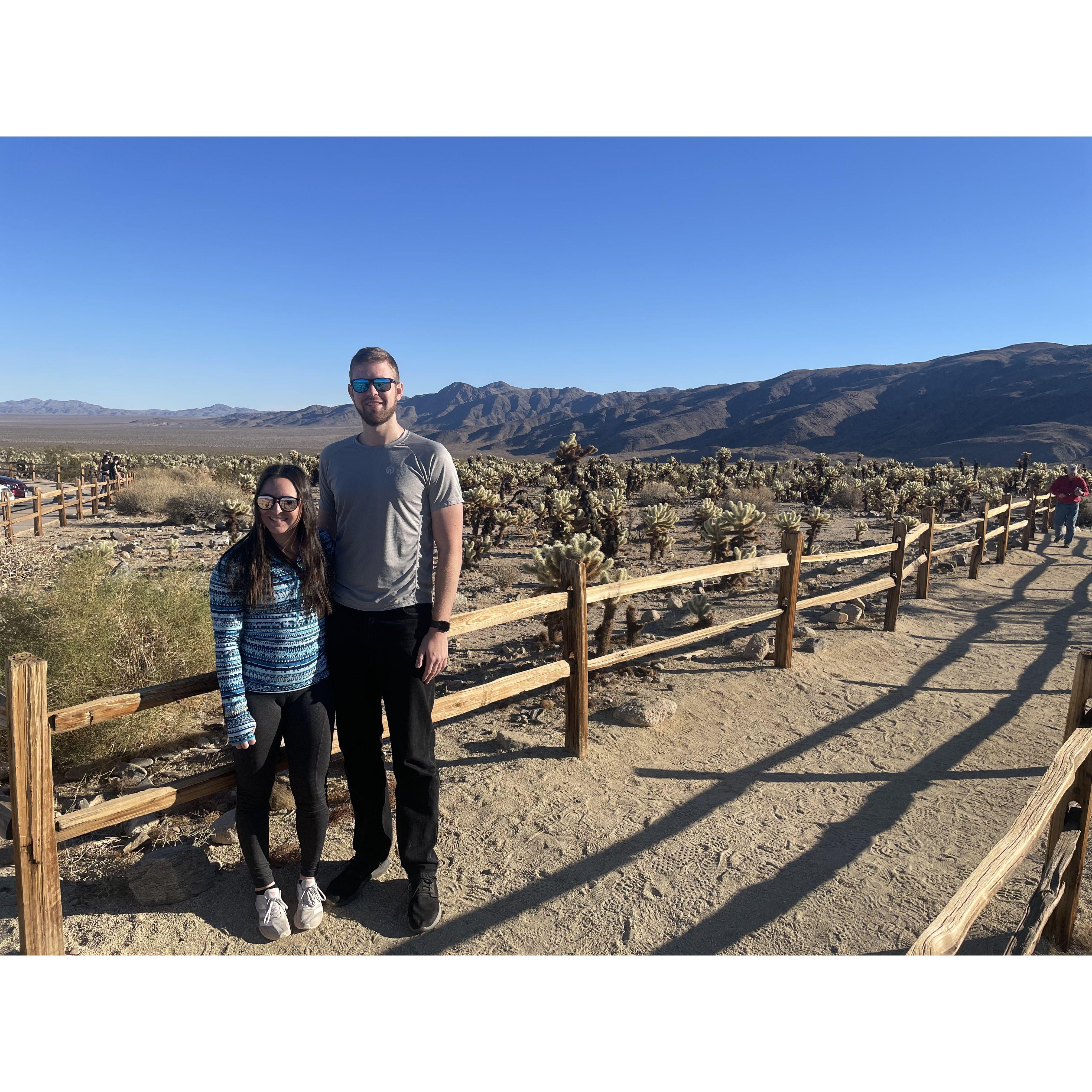 Joshua Tree (January 2022)