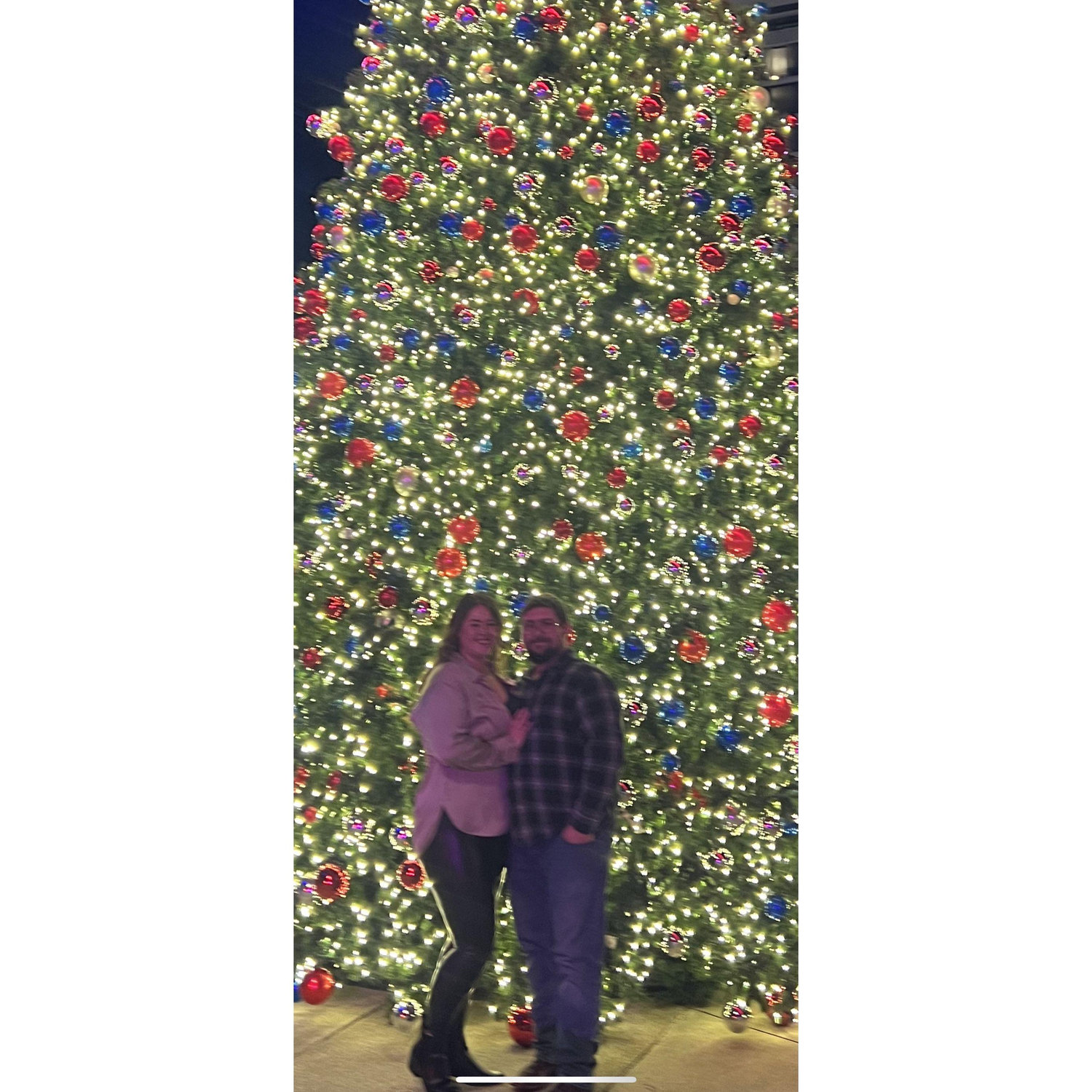 Christmas time at The Battery