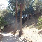 Runyon Canyon Hike