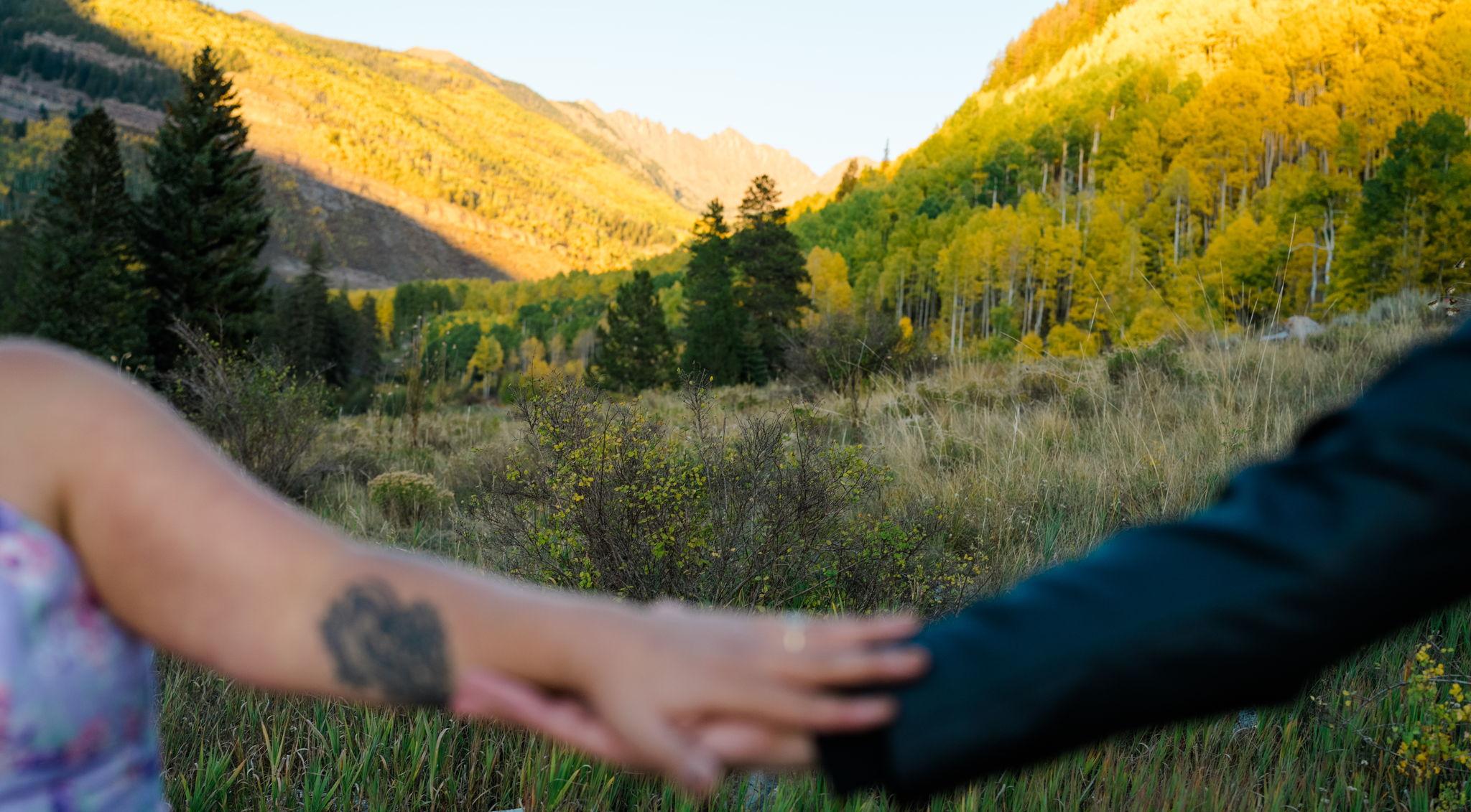 The Wedding Website of Danielle Shapiro and Raj Patel