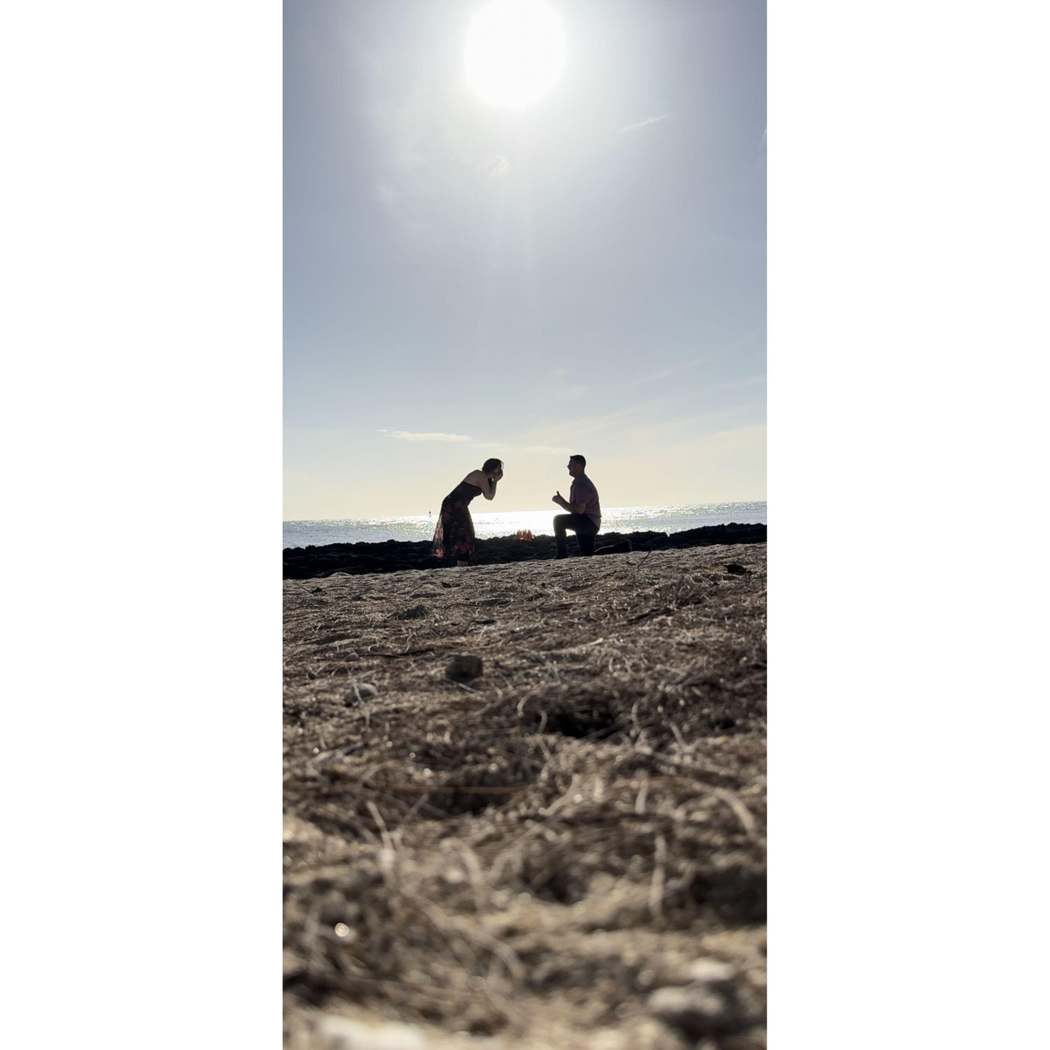 Ethan proposed in Hawaii