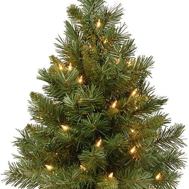 National Tree Company Pre-lit Artificial Mini Christmas Tree | Includes Small Lights and Cloth Bag Base | Majestic Fir - 2 ft