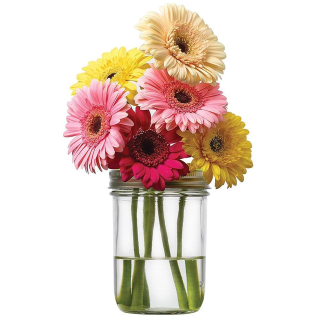 Jarware Mason Jar Lids, Flower Vase Lid and Pen Organizer For Wide Mouth Mason Jars