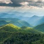 Pisgah Forest