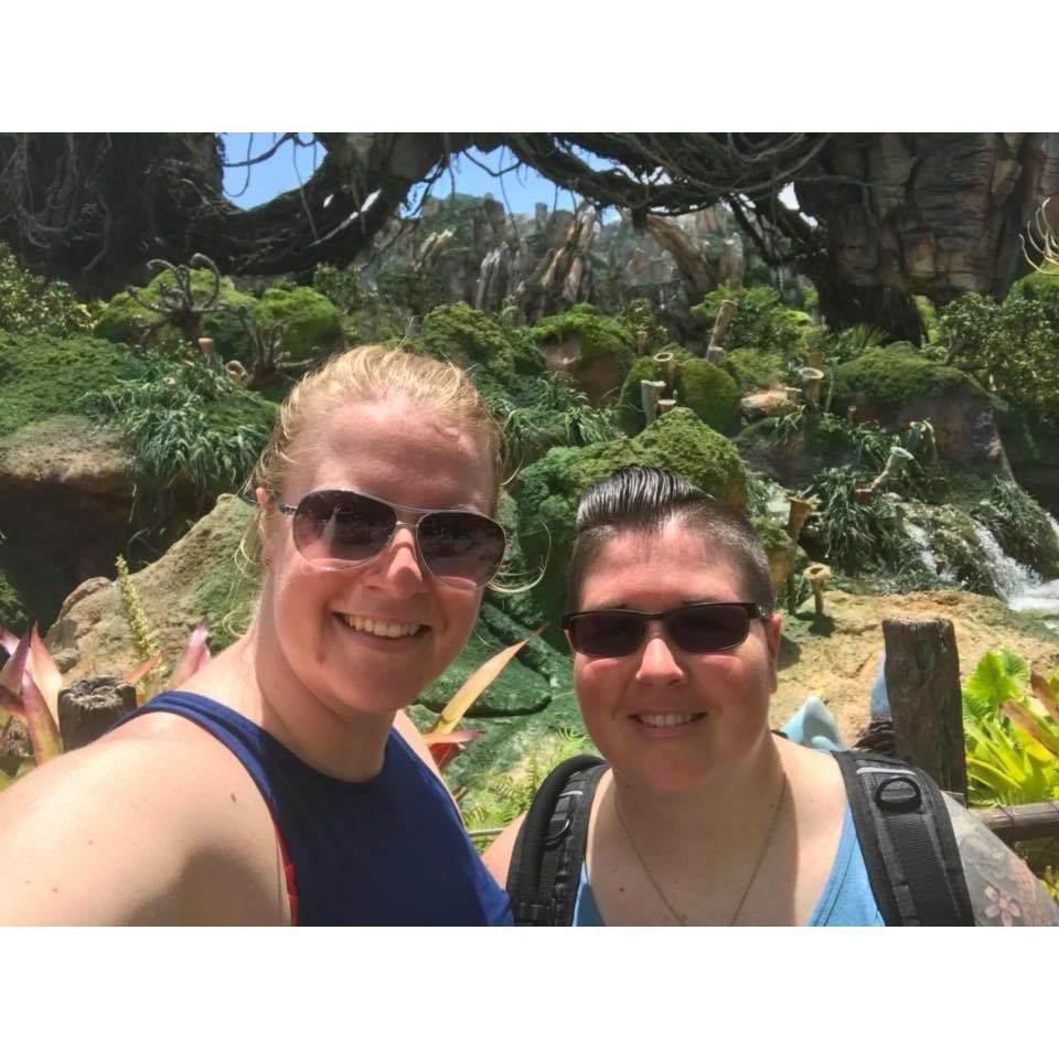 Animal Kingdom 2018