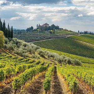 Wine Tasting in the Chianti Region