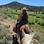 Beaver Meadows Stables