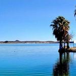 Lago Colina | El tigre