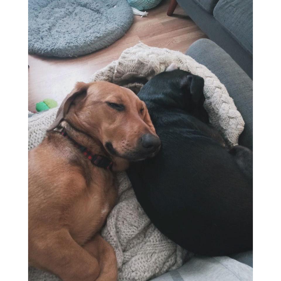 Our babies!