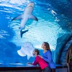 Newport Aquarium