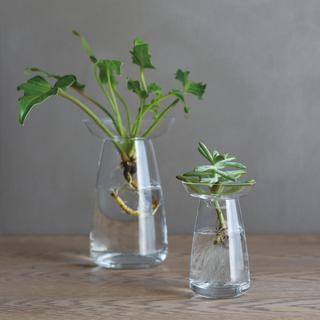 Aqua Culture Vase