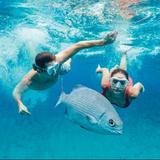 CocoCay All-Day Snorkeling