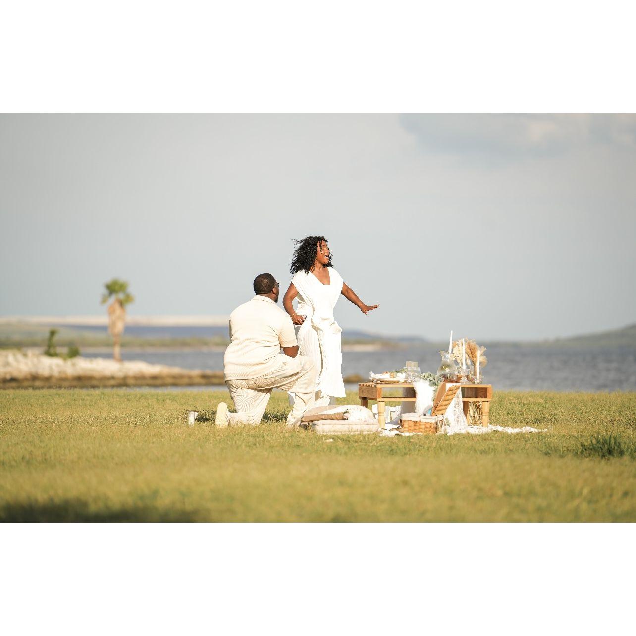 The proposal!