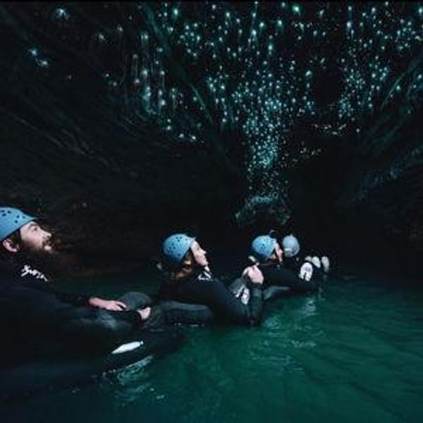 Glowworm Cave Tour
