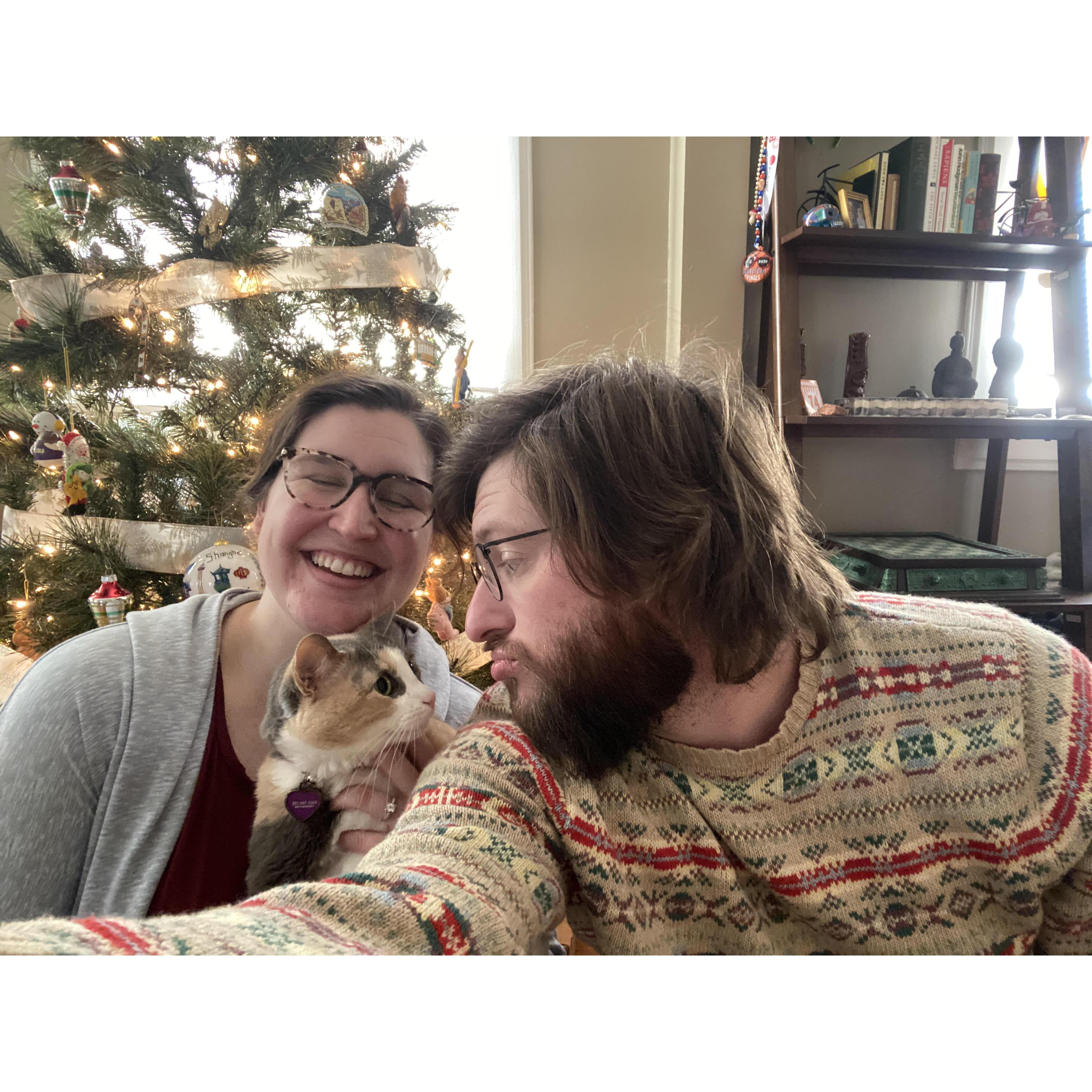 Guest appearance by Stormy. Christmas 2020.