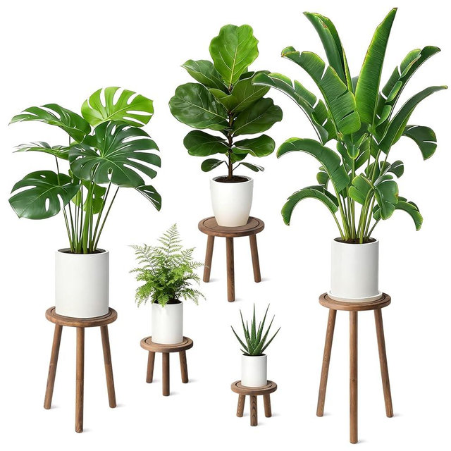 5-Pack Wood Plant Stands Indoor, Single Plant Stand for 6-22 Inch Pots, Mid-Century Modern Plant Stool, Tall Plant Stand for Large Plants Perfect Fit for Living Room, Balcony, Office(Dark Brown)