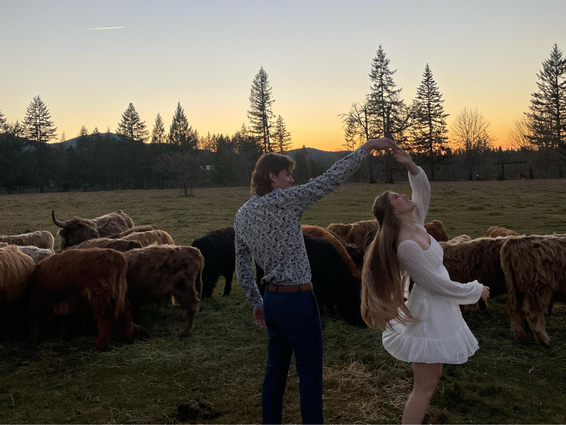 The Wedding Website of Taliah Liabraaten and Lachlan Boyd