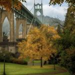 Cathedral Park