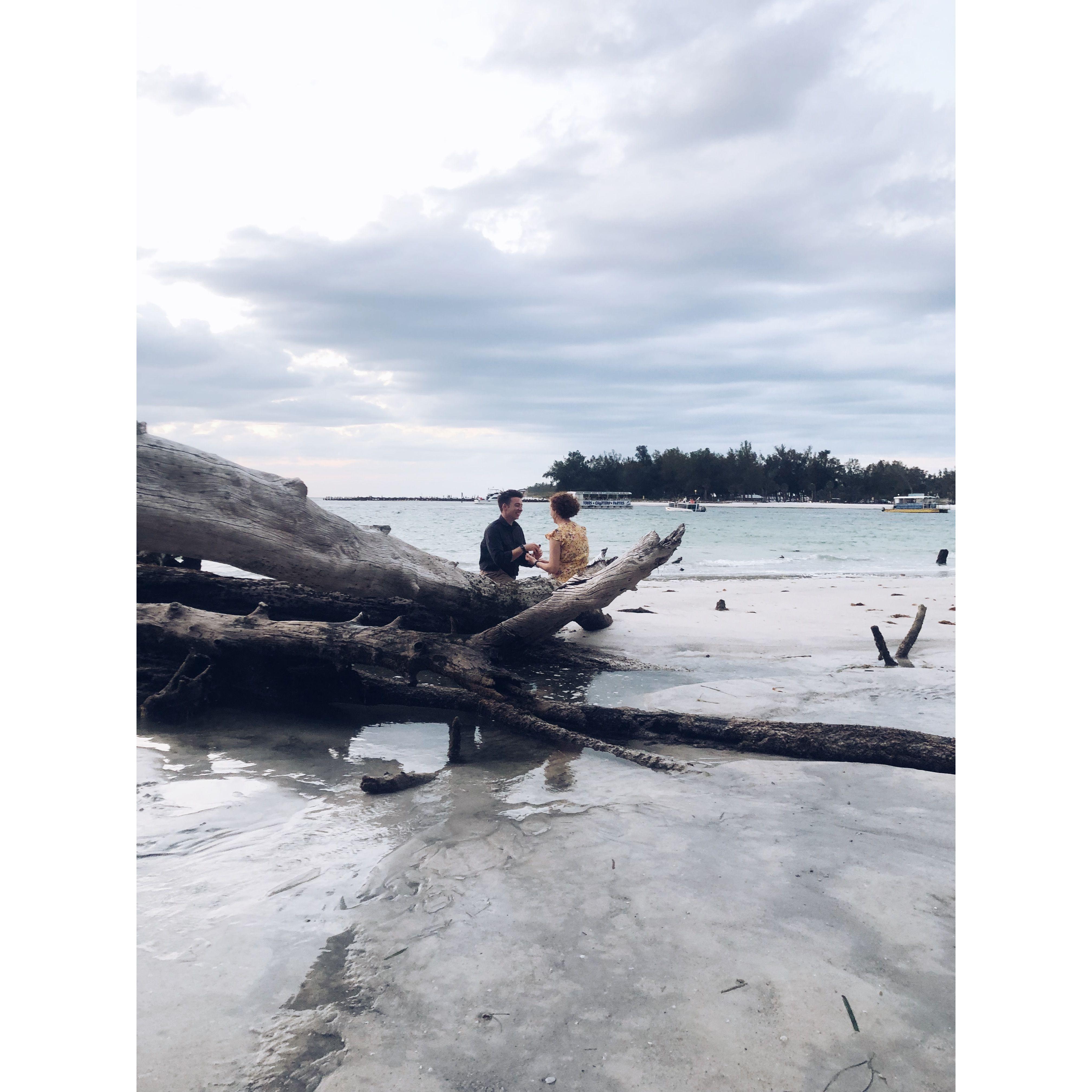 The proposal (May 7th, 2023)