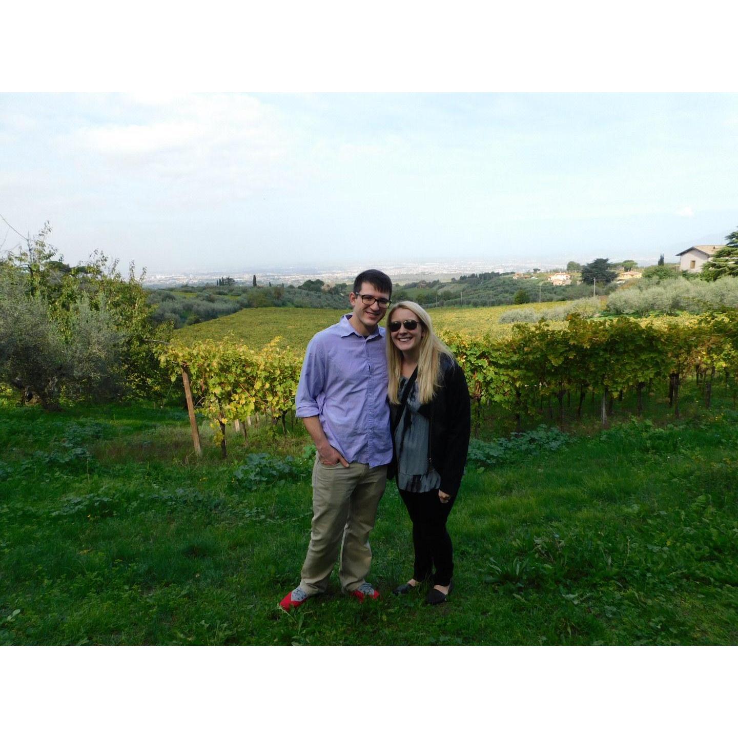 Frascati Vineyards 2017