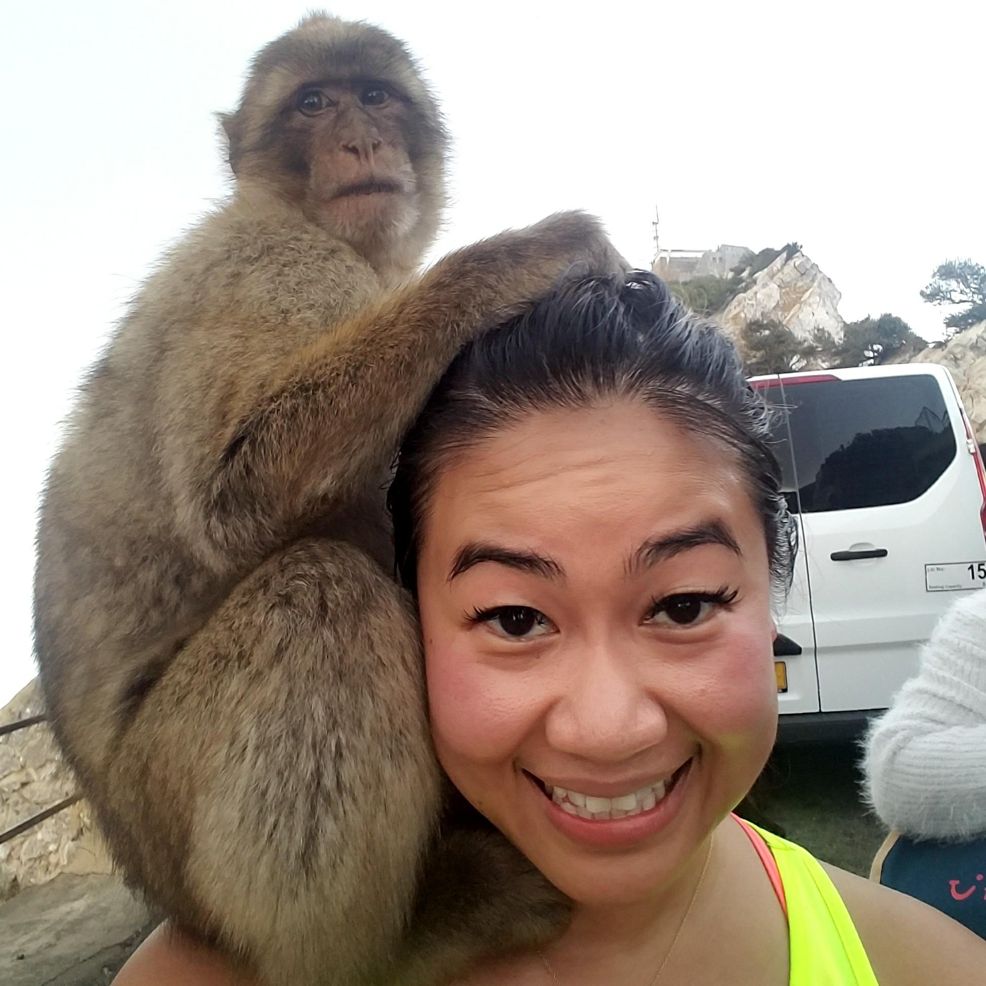 Hiking The Rock of Gibraltar with Mr. Ape!