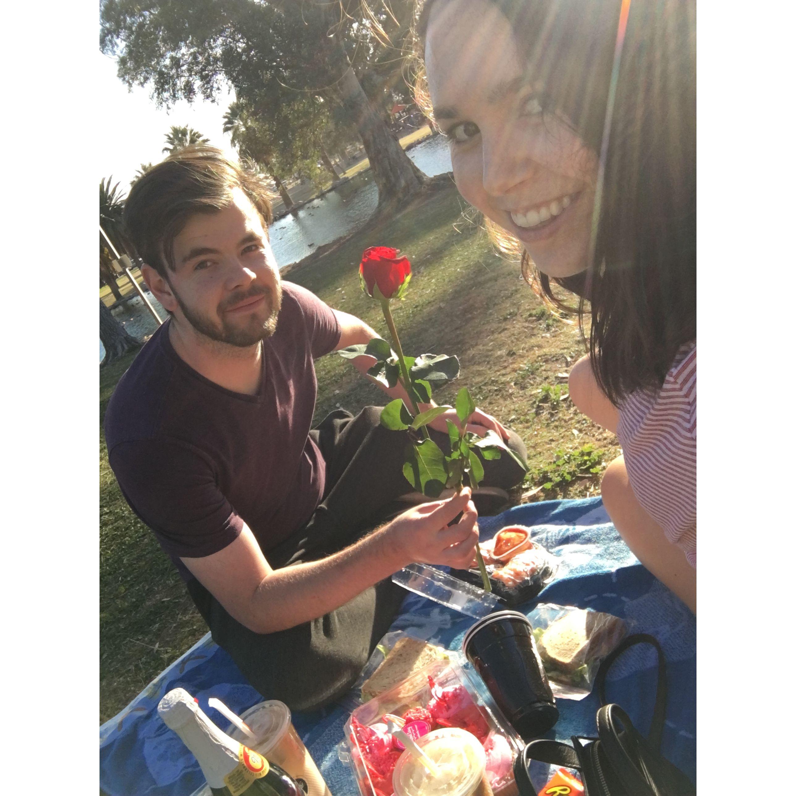 Will you accept this rose?