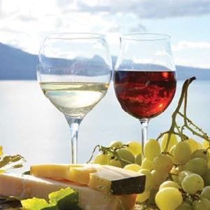 Wine tasting in Greece
