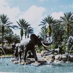 Audubon Zoo