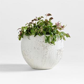 Messina Indoor/Outdoor Planter