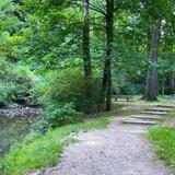 Charley Creek Gardens