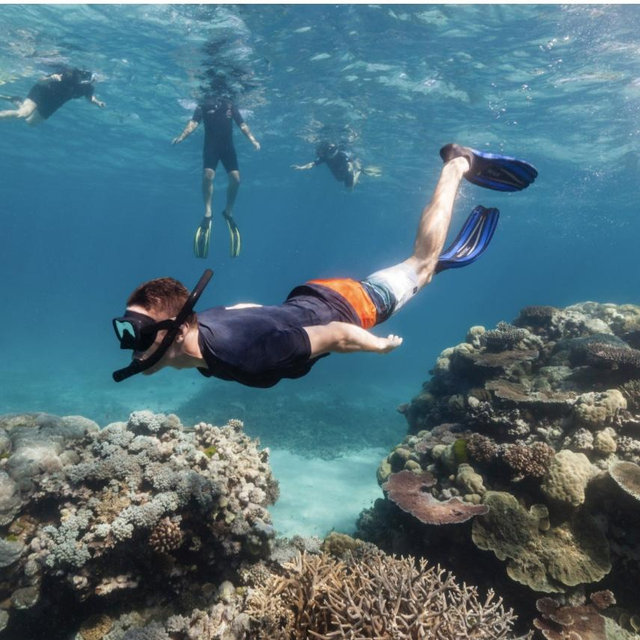 Snorkeling Gear