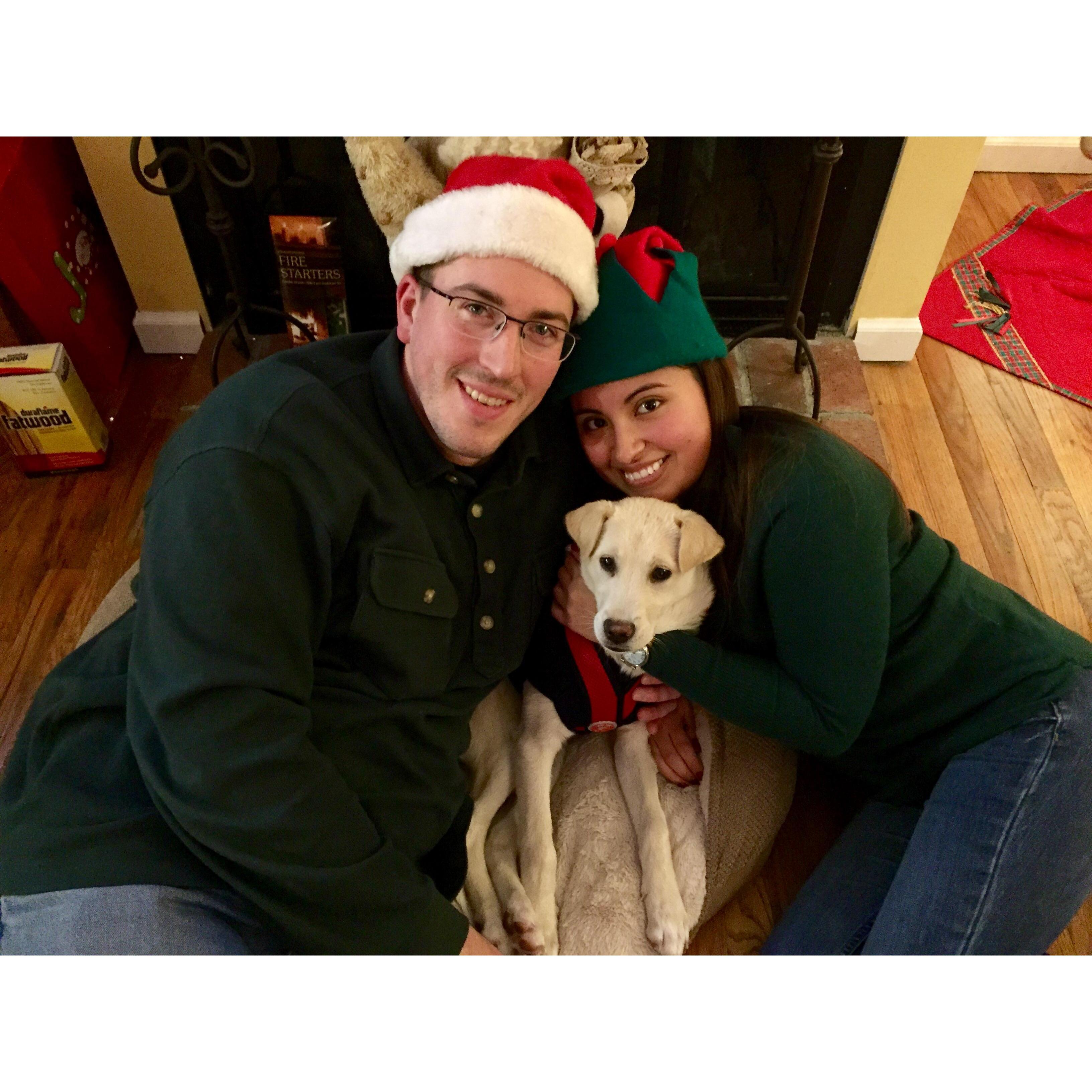 First Christmas with our puppy Dempsey