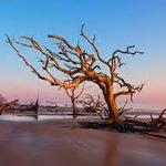 Jekyll Island