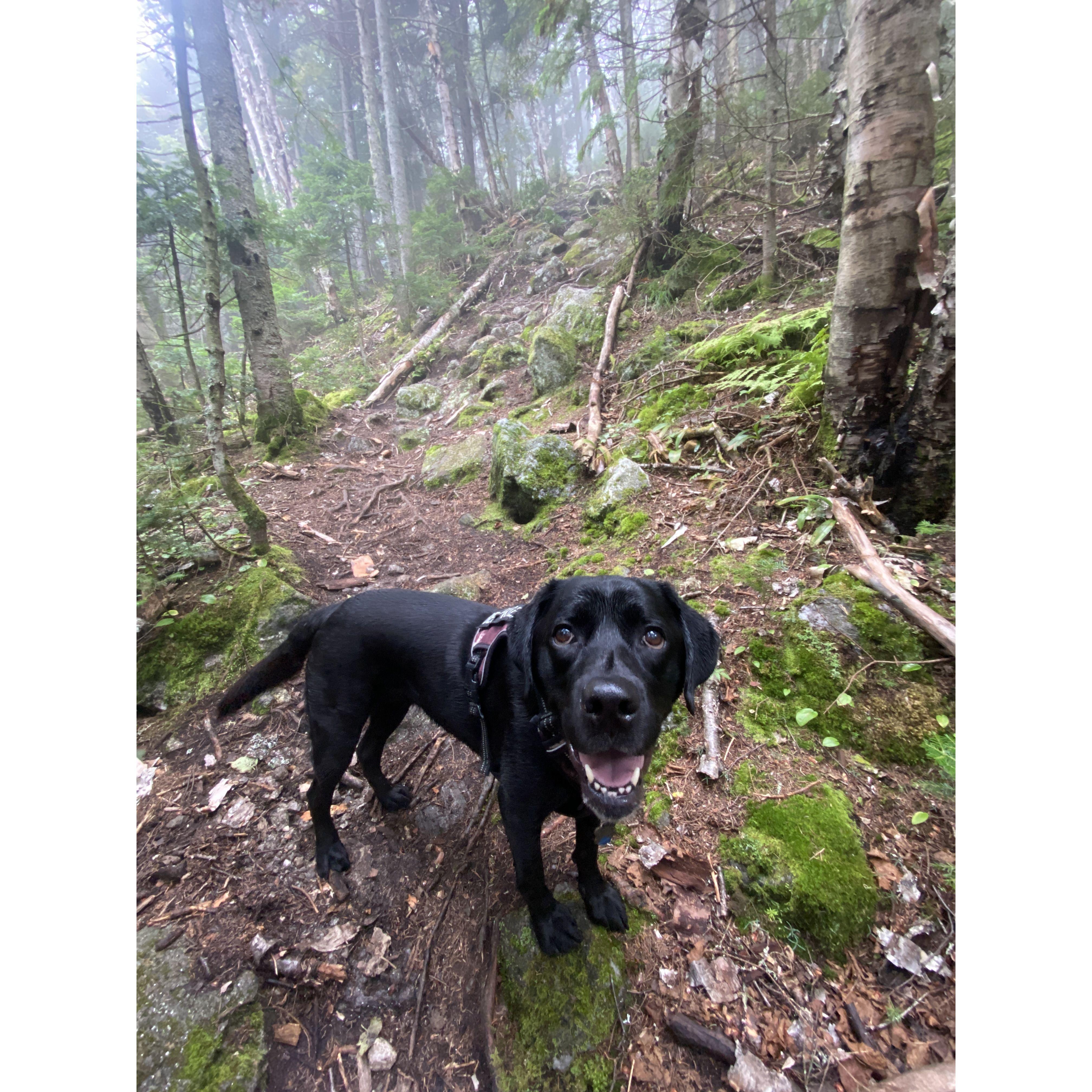 Luna lives for hikes