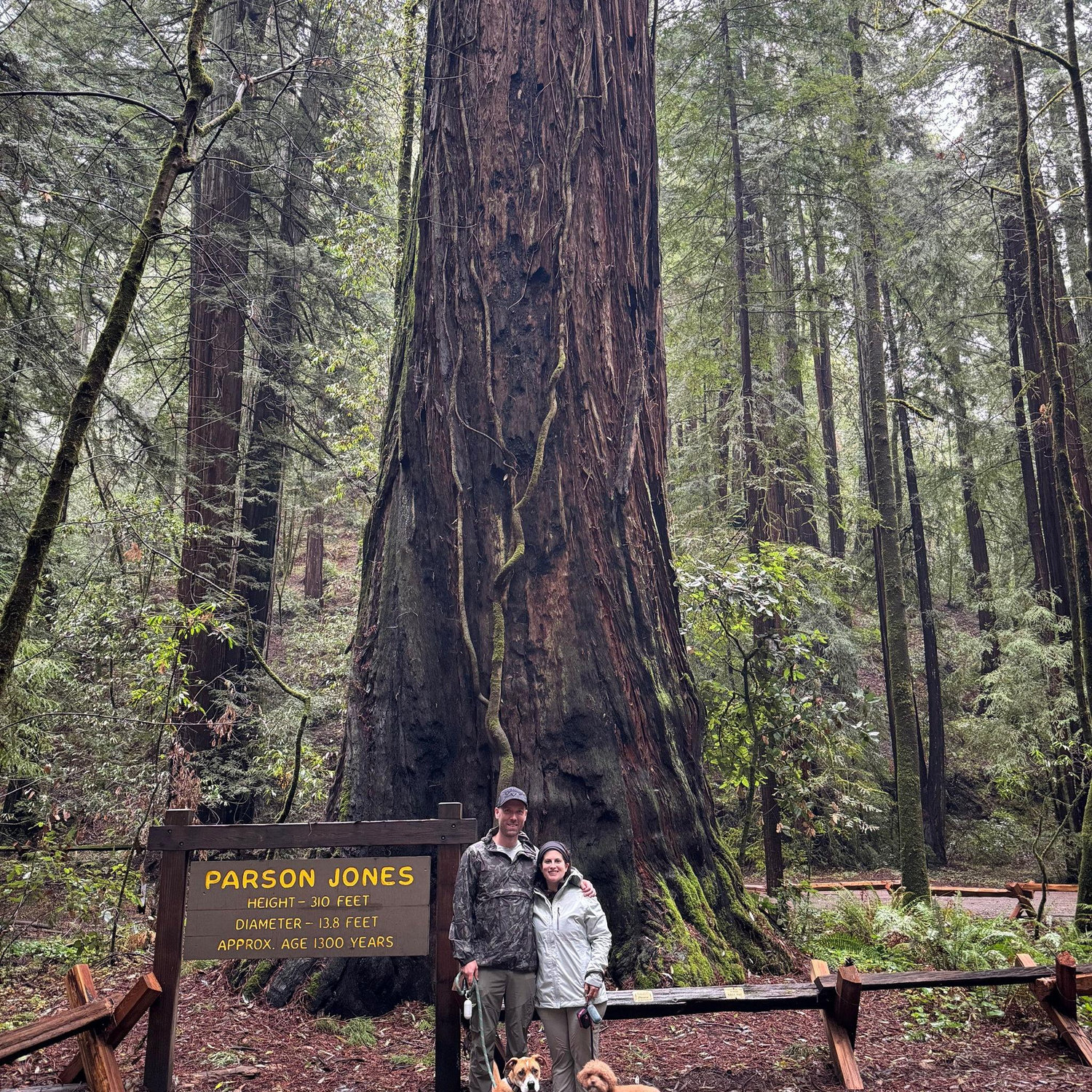 Guerneville