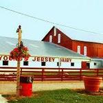 Young's Jersey Dairy