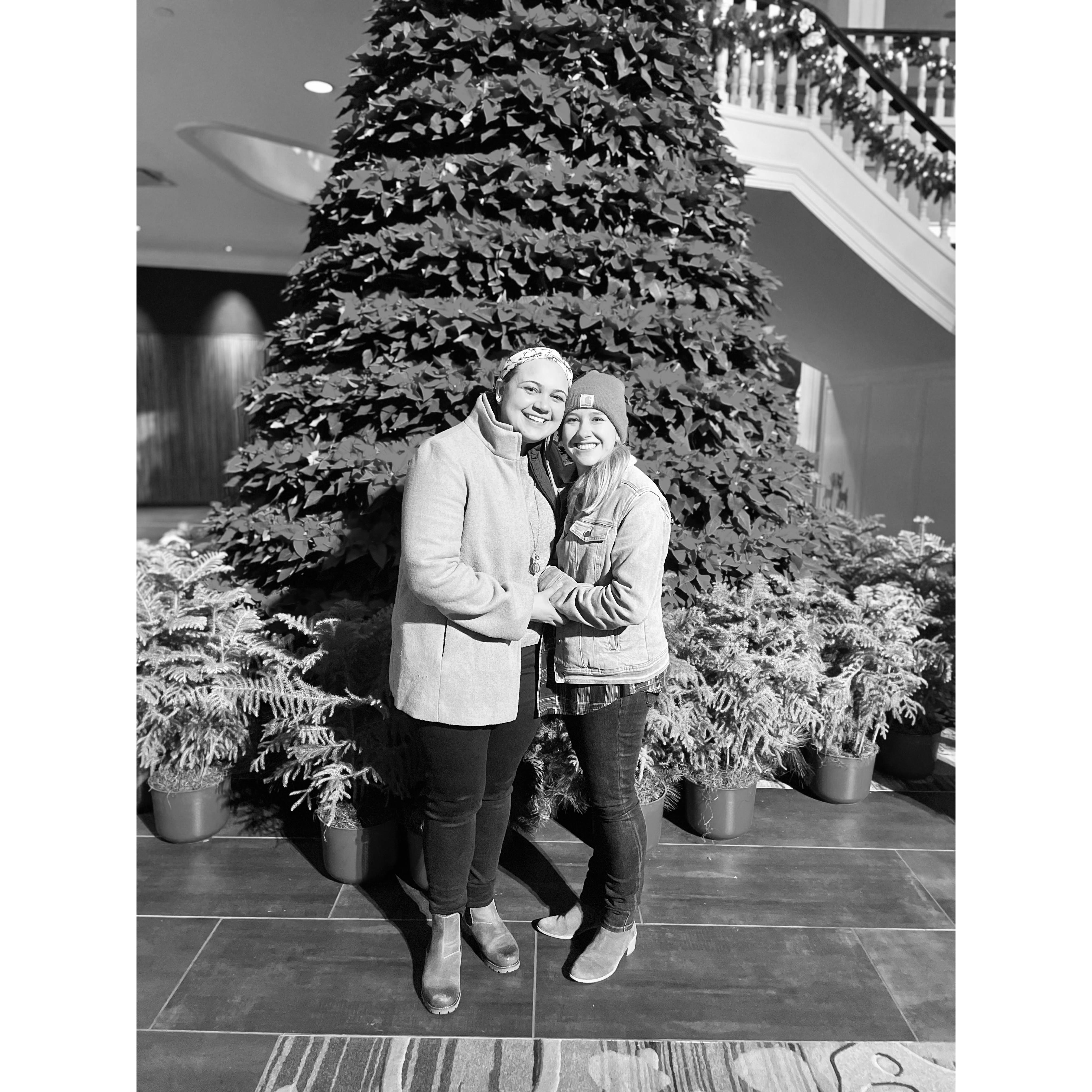 2021 - Christmas at the Gaylord Opryland. Fun fact: Every year we buy our Christmas tree at our local nursery. They name the trees and the first year we found a "Pippin" just like our dog!