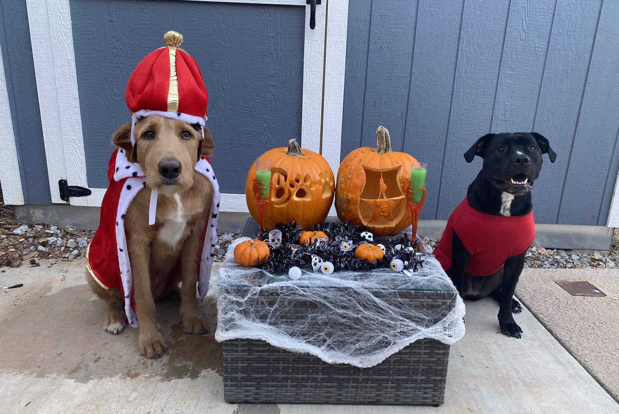 The Wedding Website of Sabrina Sherwood and Brendon Garcia