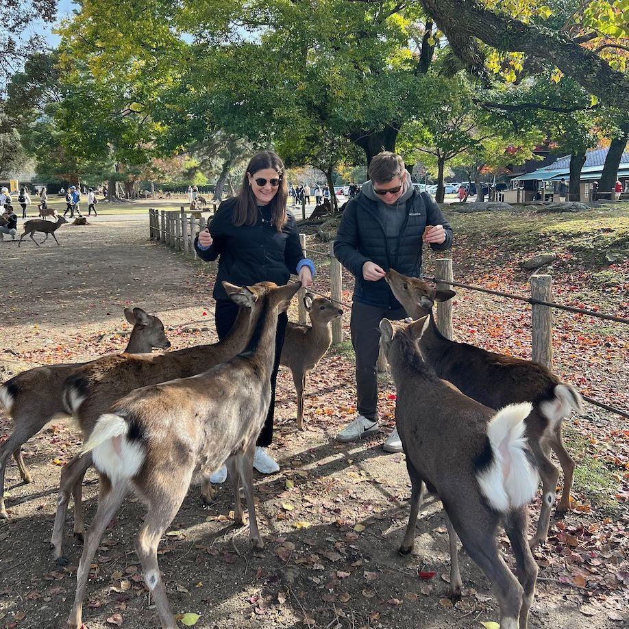 Nara Deer Park, Japan