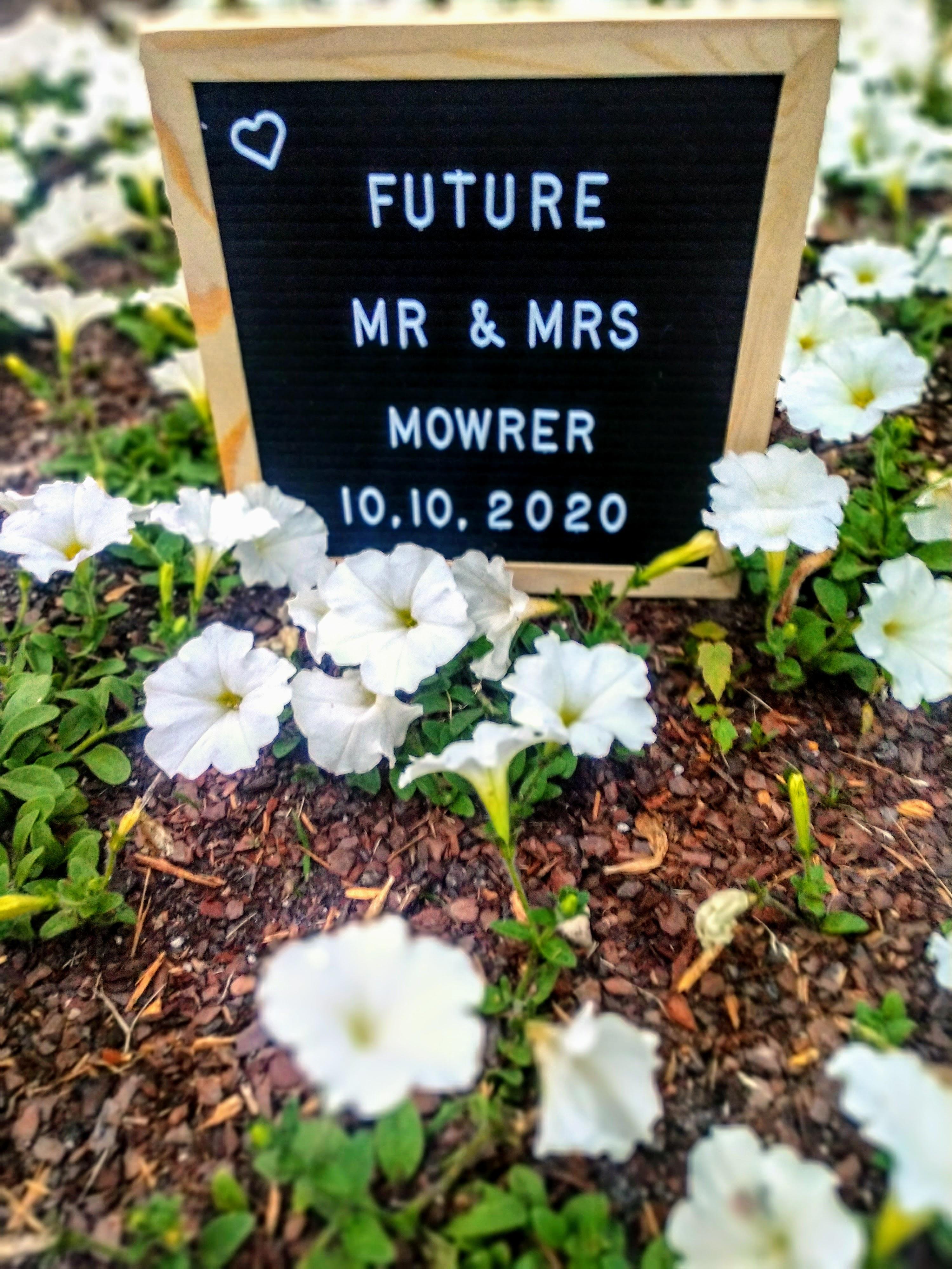 The Wedding Website of Chelsea Rierson and David Mowrer