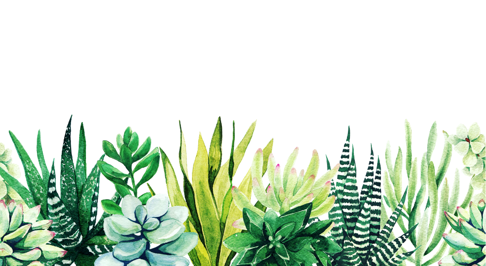Footer image