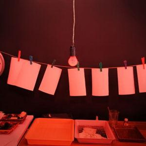 Develop Our Wedding DIY Photographs!