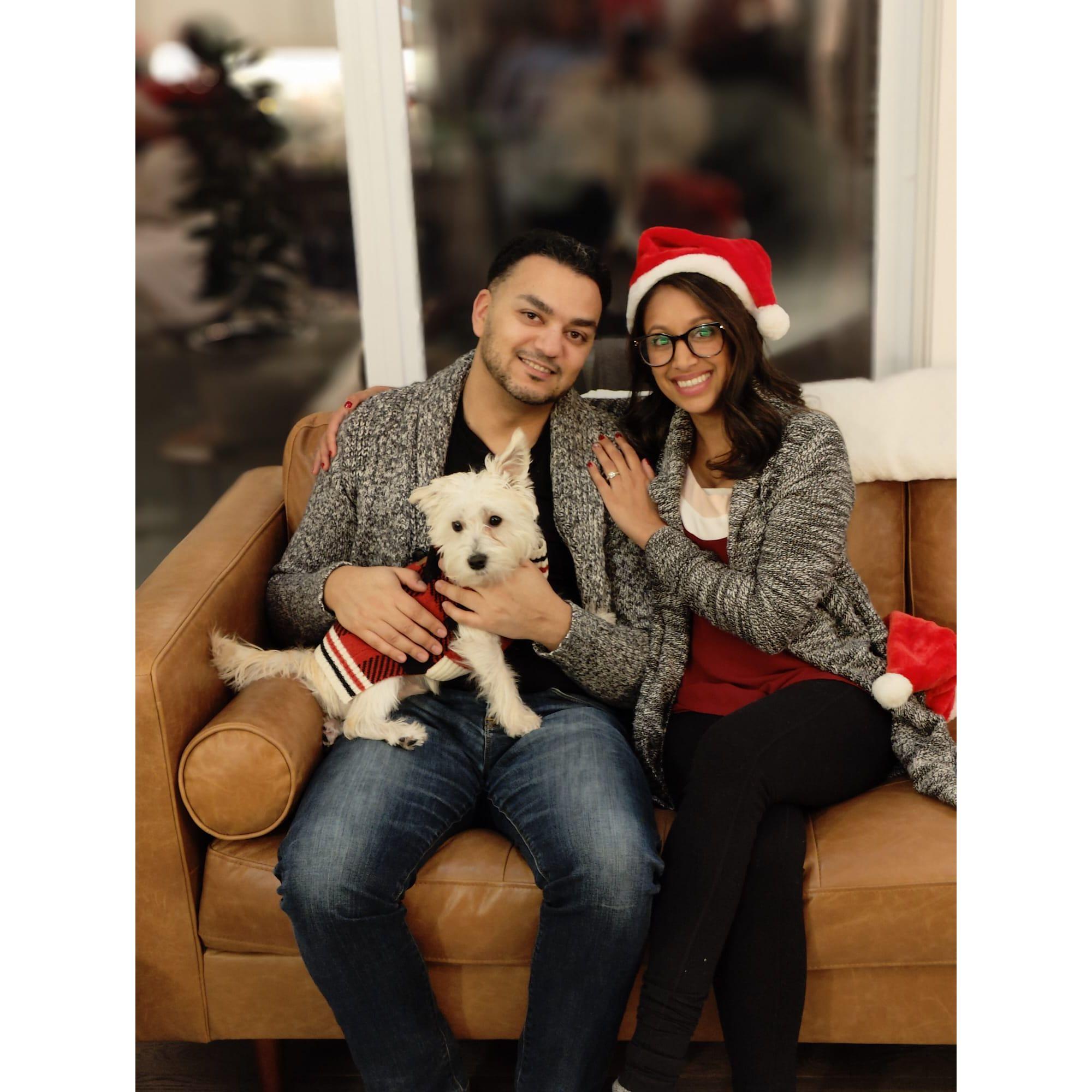 Our first Christmas as an engaged couple with our fur-nephew Jack