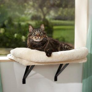 FRISCO Plush Cat Window Perch with Removable Bolster - Chewy.com